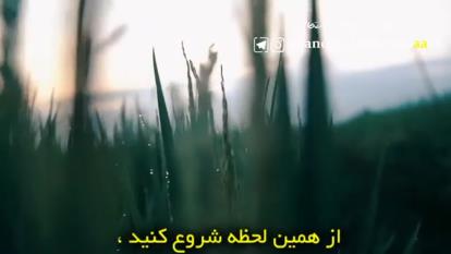 قانون بیست و یک روز