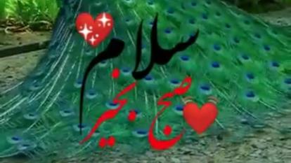 #صبح