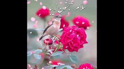 #آهنگ صبح بخیر#شاد