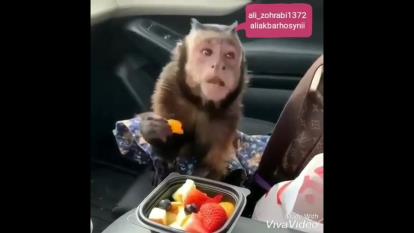طنز