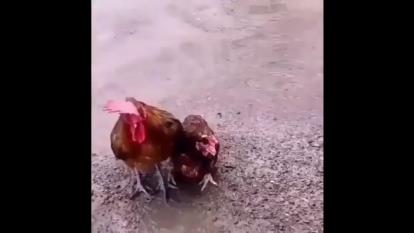 عشق فقط این لحظه