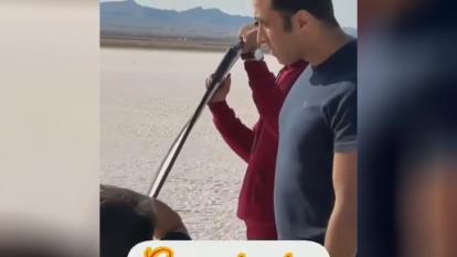 ساعت نیاکان