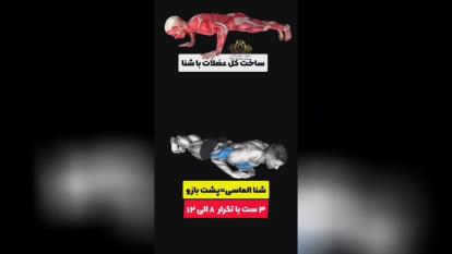 عضله سازی کل بدن