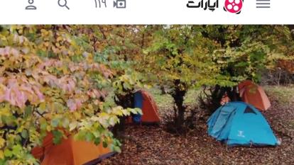 جنگل پاییزی