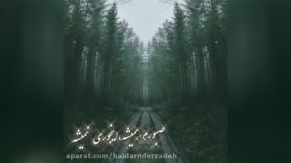 جنگل ها