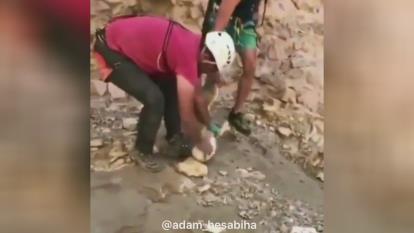 سرگرگ گیرکرده در ظرف پلاستیکی