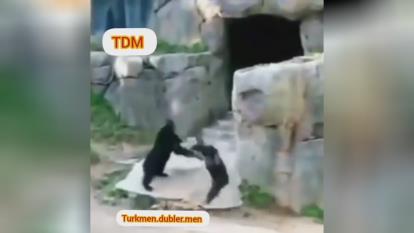 عاقبت لایو گذاشتن با دخترا 😂😂