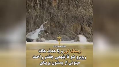 برای موفقیت باید ریسک کرد