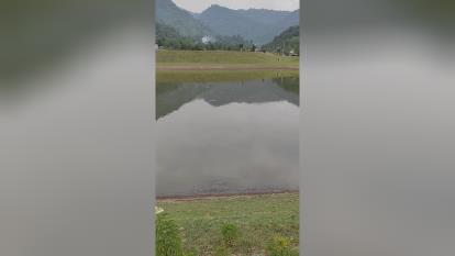 استخردوقلوی تنیان