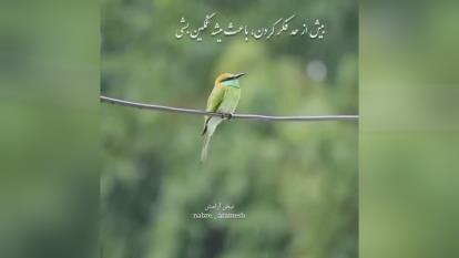5درس موفقیت