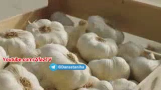 معجزه سیر