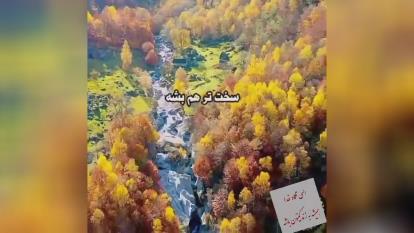 شکرگزاری خدا