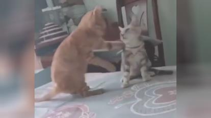 میاد بزندش یادش میاد روز زن نزدیکه😆