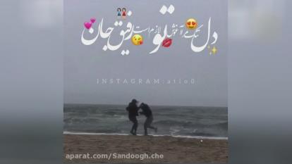 رفیق