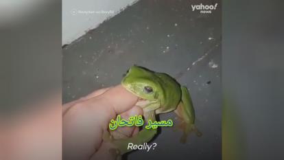 وقتی میگه اشتها ندارم ولی چون اسرار میکنی یه لقمه