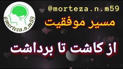 مسیر موفقیت... از کاشت تا برداشت