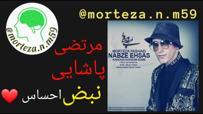 آهنگ با احساس « مرتضی پاشایی » به نام« نبض احساس »