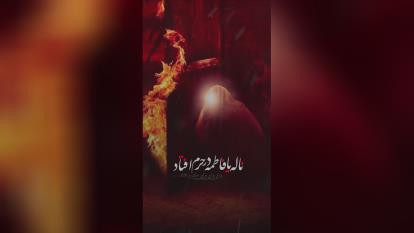 استوری ویژه شهادت حضرت زهرا با نوای حاج محمود کریمی