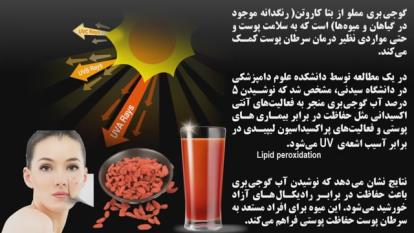 قوی ترین چربی سوز طبیعی دنیا