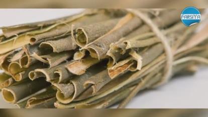 گیاهان طبیعی جایگزین دارو ها