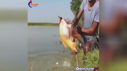 جالب و واقعی