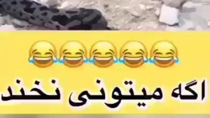 مارقلقلکی🤣🤣🤣