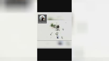 مشاهده احساسات گیاهان