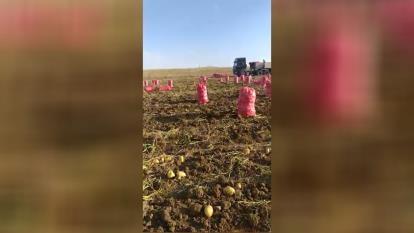 شعبه2_همدان_اول بهار_ جنب ایران خودرو_ بازرگانی امیر سربازی 09036951254