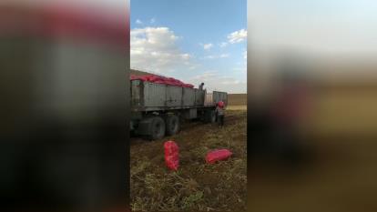 شعبه2_همدان_اول بهار_ جنب ایران خودرو_ بازرگانی امیر سربازی 09036951254
