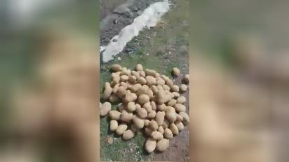 صادرات و واردات میوه جات و صیفی جات با کشور های اروپایی و عربی جهت اطلاعات بیشتر