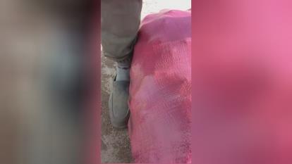 صادرات و واردات میوه جات و صیفی جات با کشور های اروپایی و عربی جهت اطلاعات بیشتر