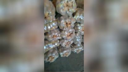 صادرات و واردات میوه جات و صیفی جات با کشور های اروپایی و عربی جهت اطلاعات بیشتر