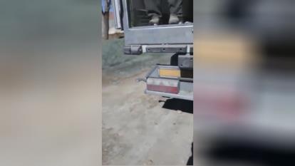 صادرات و واردات میوه جات و صیفی جات با کشور های اروپایی و عربی جهت اطلاعات بیشتر