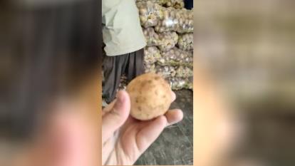 صادرات و واردات میوه جات و صیفی جات با کشور های اروپایی و عربی جهت اطلاعات بیشتر