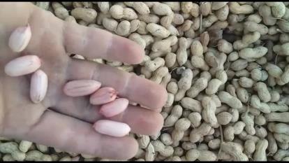 صادرا ت و واردات میوه جات و صیفی جات با کشور های اروپایی و عربی جهت اطلاعات بیشتر