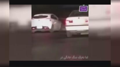 (ویدئو) حضور دردسر ساز یک سگ خانگی در خودرو دولتی