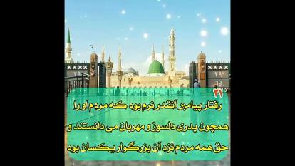 خصوصیات نی مکرم