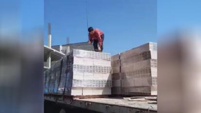 هبلکس رضوی