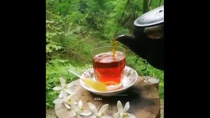 بفرمایید یک فنجان عشق،،💐