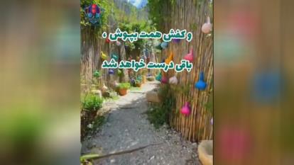 زندگی شیرینی وزیبا