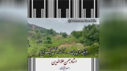 شاعربهمن علاالدین