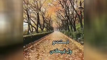 حس خوب وزیبا