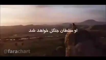 رشد