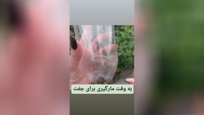 مار گیری