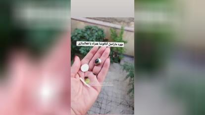 مهره مار