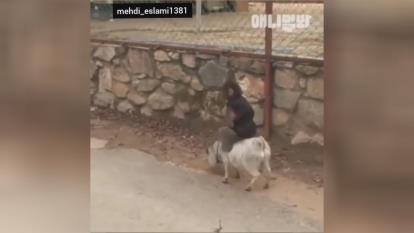 ریمکس با آهنگ جومونگ