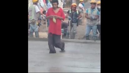 طنز نما