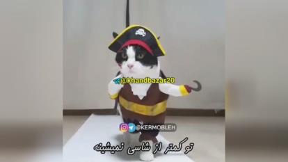دیجی پیشی 😁😁😁😁