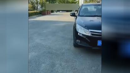 وفاداری سگ 😍😍😍