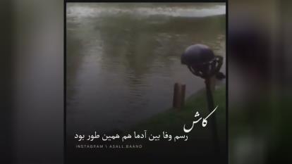 کاش رسم وفارو از حیوونا یاد بگیریم ❤❤